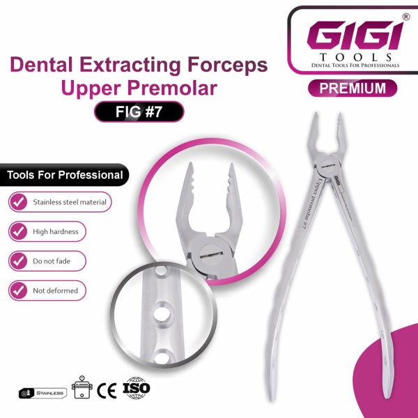 Dental Extracting Forceps Fig. #7 (Upper Premolar)