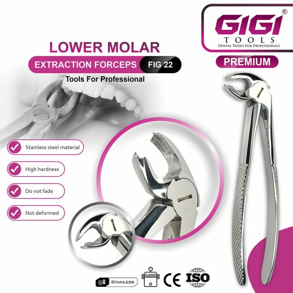 Adult Extraction Forceps Fig. 22 Lower Molars