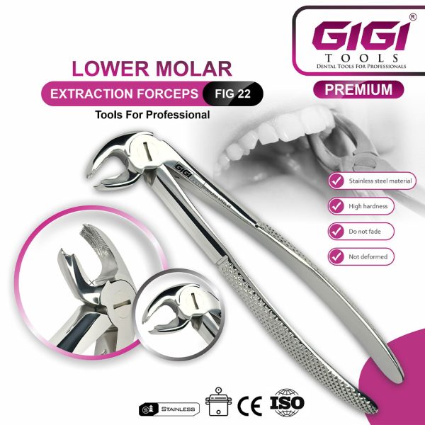 Adult Extraction Forceps Fig. 22 Lower Molars
