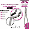 Dental Extracting Forceps Fig. 210S for Upper Third Molars