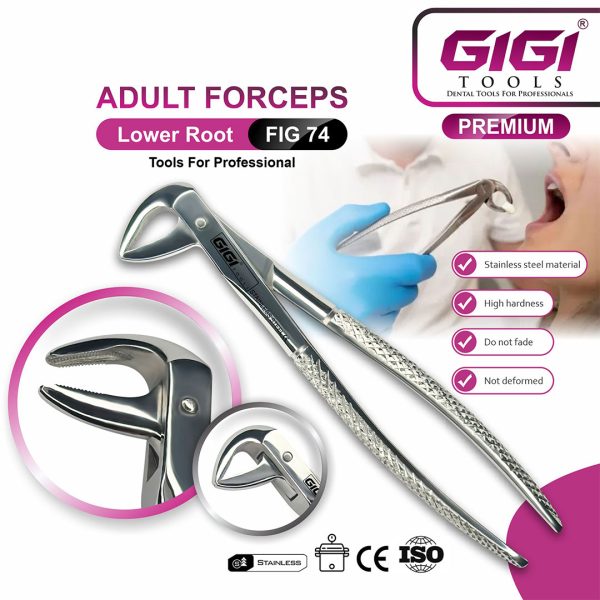 Adult Extraction Forceps Fig. 74 Lower Roots & Incisors