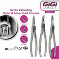 Dental Root Fragment & Splinter Extraction Forceps 3-Piece Set