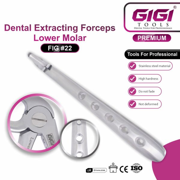 Dental Extracting Forceps Fig. #22 (Lower Molar)