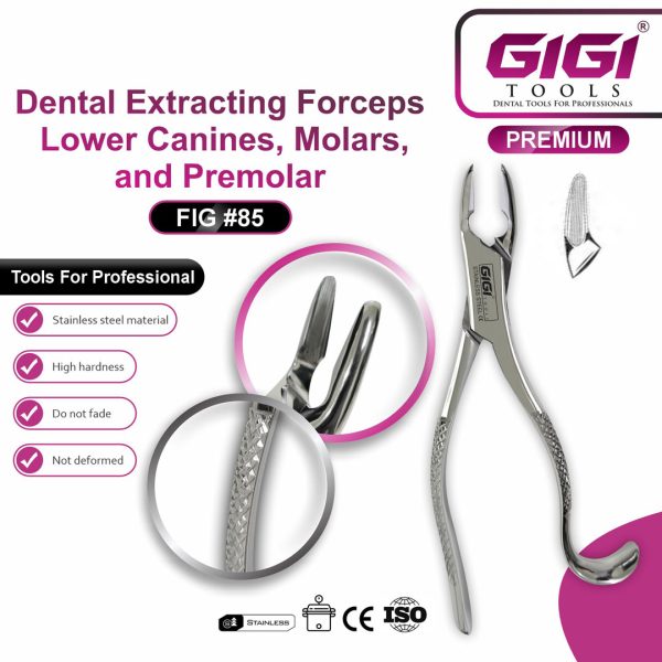 Dental Extracting Forceps Fig. 85 for Lower Canines, Premolars, and Molars
