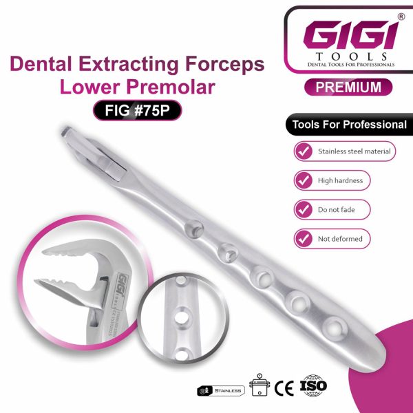 Dental Extracting Forceps Fig. #75P (Lower Premolar / Lower Third Molar)