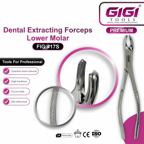 Dental Extracting Forceps Fig. 17S for Lower Molars