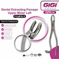 Dental Extracting Forceps Fig. 18LS for Upper Left Molars