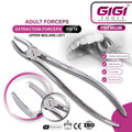 Adult Extraction Forceps Fig. 18 Upper Molars - Right