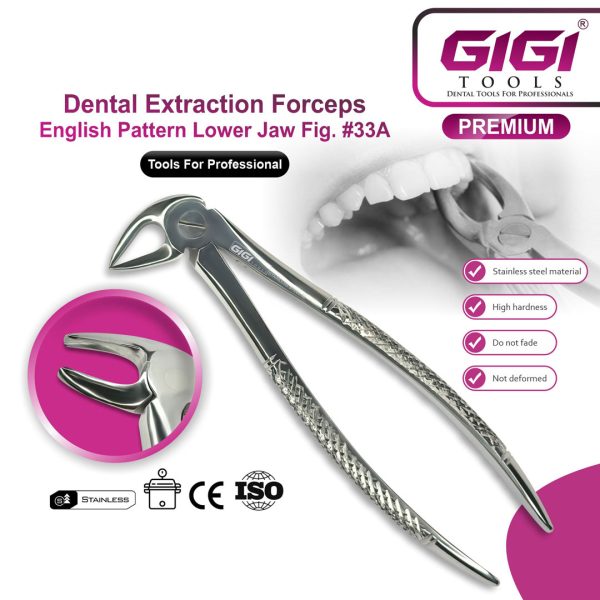 Dental Extraction Forceps English Pattern - Complete 10-Piece Set