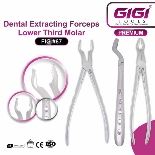 Dental Extracting Forceps Fig. 67 (Bayonet Pattern) for Upper Third Molars