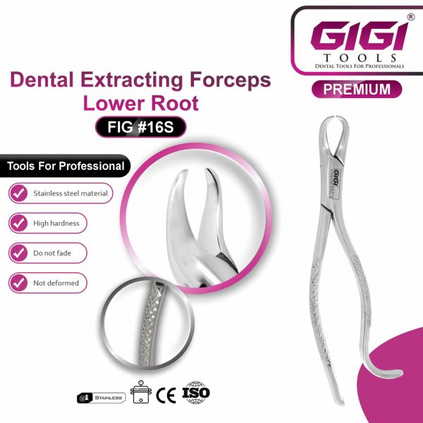 Dental Extracting Forceps Fig. 16S for Lower Roots