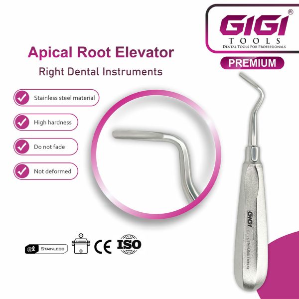 Dental Root Elevator Apical 2-Piece Set
