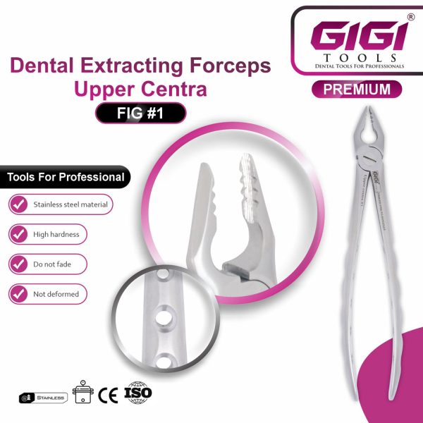 Dental Extracting Forceps Fig. #1 (Upper Centrals & Cuspids)