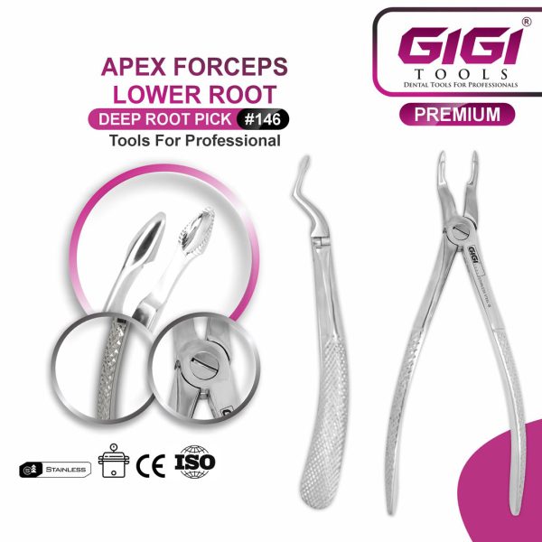Apex Lower Root Deep Root Pick Forceps #146