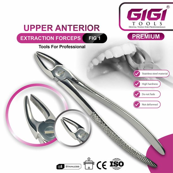Adult Extraction Forceps Complete 10-Piece Master Set