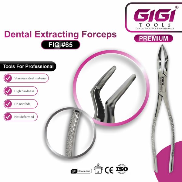 Dental Extracting Forceps Fig. 65 for Upper Roots and Fragments