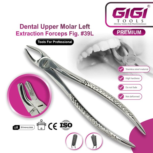 Dental Extraction Forceps English Pattern - Complete 10-Piece Set