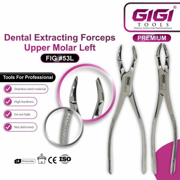 Dental Extracting Forceps Fig. 53L & 53R Upper Molar
