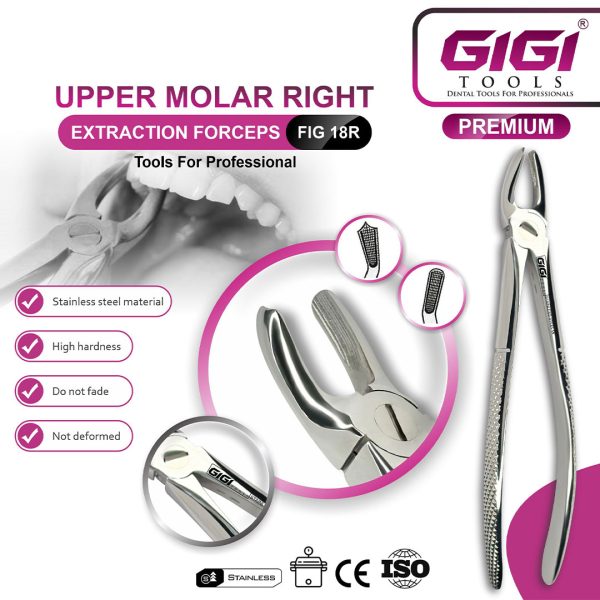 Adult Extraction Forceps Fig. 18R Upper Molars - Right