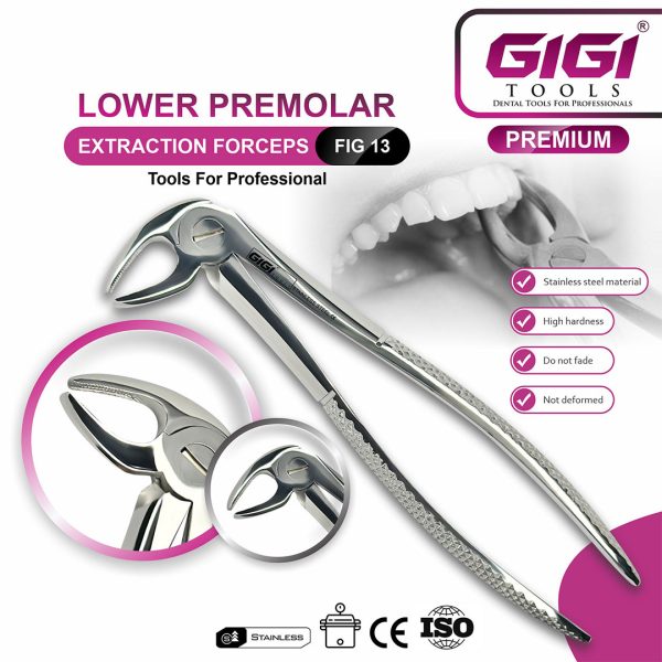 Adult Extraction Forceps Complete 10-Piece Master Set