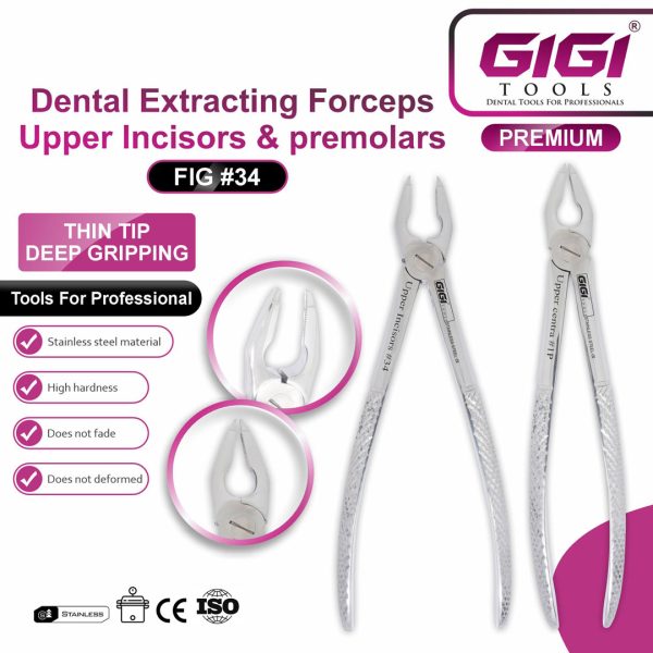 Dental Extracting Forceps Upper Incisors & Premolars (Fig #34)