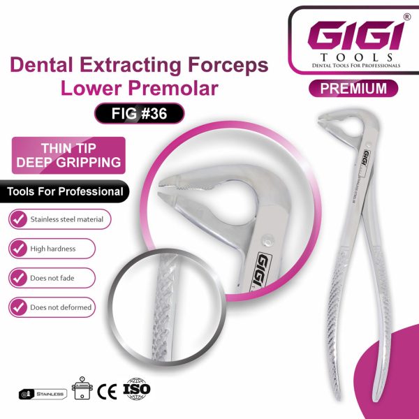 Dental Extracting Forceps Lower Premolar (Fig #36 & Fig #36A)