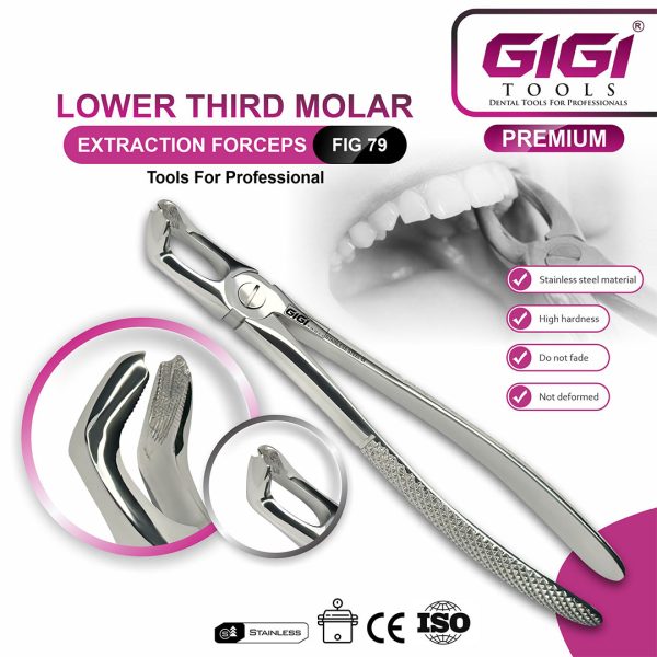 Adult Extraction Forceps Complete 10-Piece Master Set