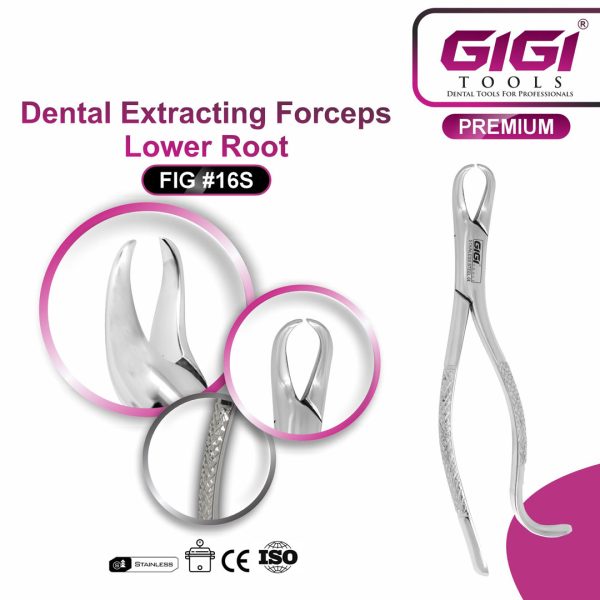 Dental Extracting Forceps Fig. 16S for Lower Roots