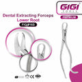 Dental Extracting Forceps Fig. 16S for Lower Roots