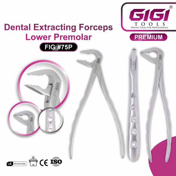 Dental Extracting Forceps Fig. #75P (Lower Premolar / Lower Third Molar)