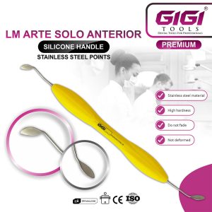 LM Arte Solo Anterior