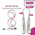 Dental Root Elevator Apical 2-Piece Set