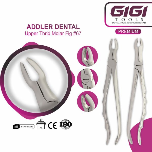 Addler 10-Piece Dental Extraction Forceps Kit (Ergonomic Wave Handle Design)
