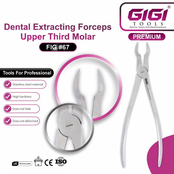 Dental Extracting Forceps Fig. 67 for Upper Third Molars