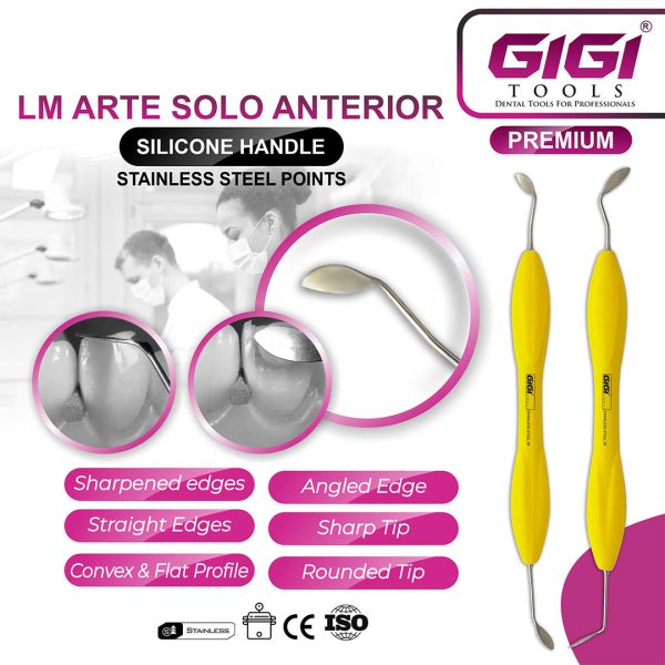 LM Arte Solo Anterior