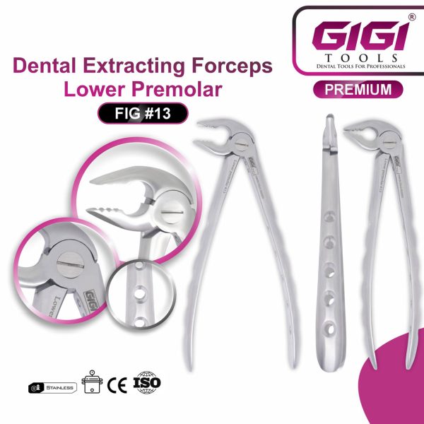 Dental Extracting Forceps Fig. #13 (Lower Premolar)