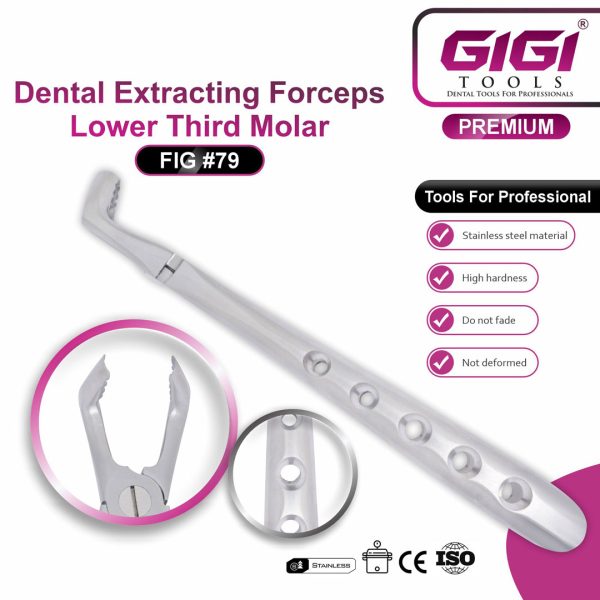 Dental Extracting Forceps Fig. #79 (Lower Third Molar)