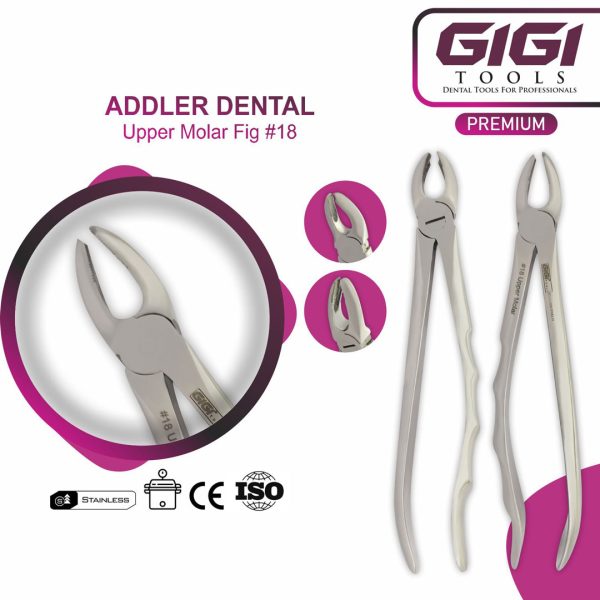 Addler 10-Piece Dental Extraction Forceps Kit (Ergonomic Wave Handle Design)