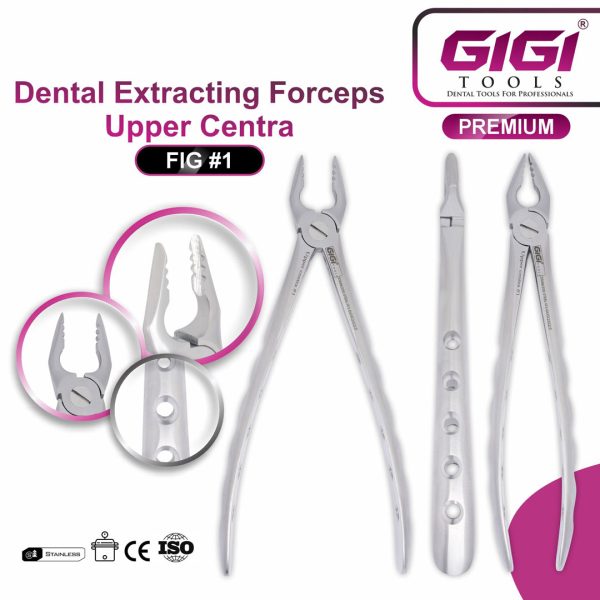 Dental Extracting Forceps Fig. #1 (Upper Centrals & Cuspids)