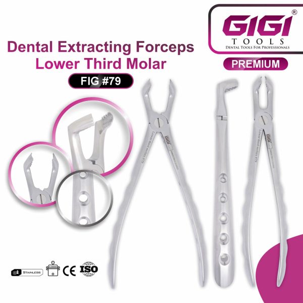 Dental Extracting Forceps Fig. #79 (Lower Third Molar)