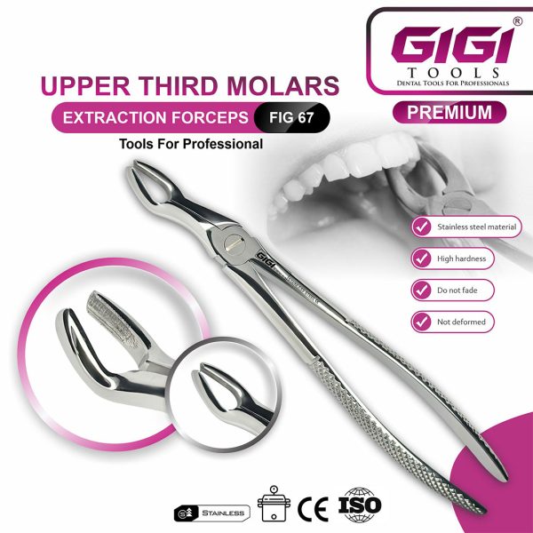 Adult Extraction Forceps Complete 10-Piece Master Set