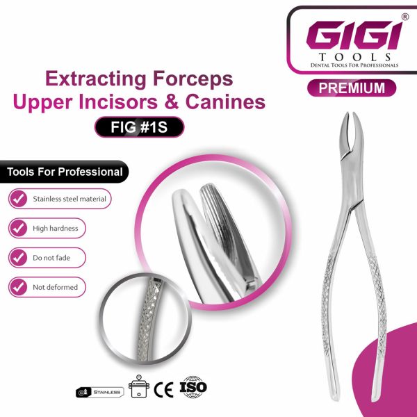Dental Extracting Forceps Fig. 1S for Upper Incisors and Canines