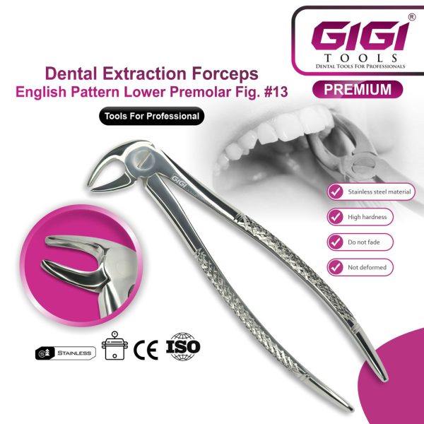 Dental Extraction Forceps English Pattern - Complete 10-Piece Set