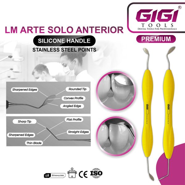 LM Arte Solo Anterior