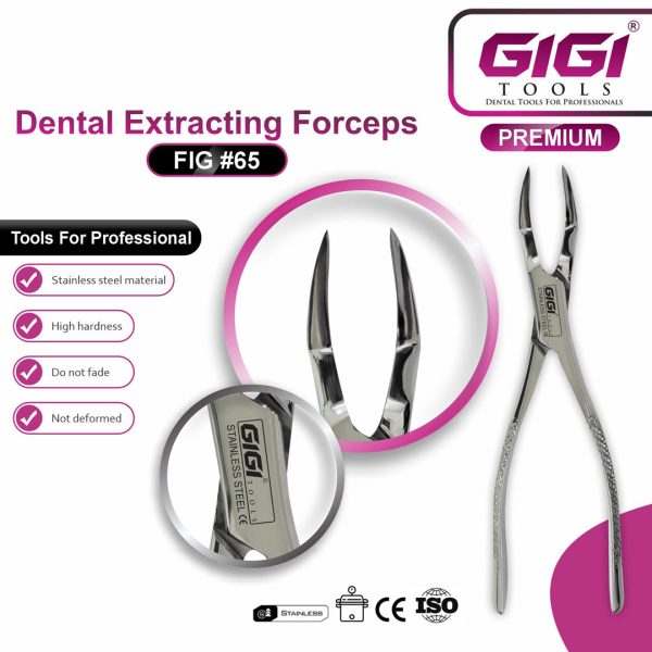 Dental Extracting Forceps Fig. 65 for Upper Roots and Fragments