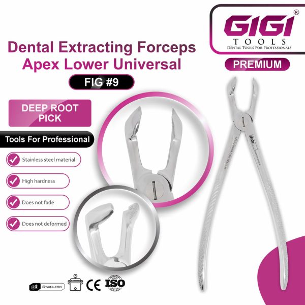 Dental Extracting Forceps Apex Lower Universal (Fig #9)