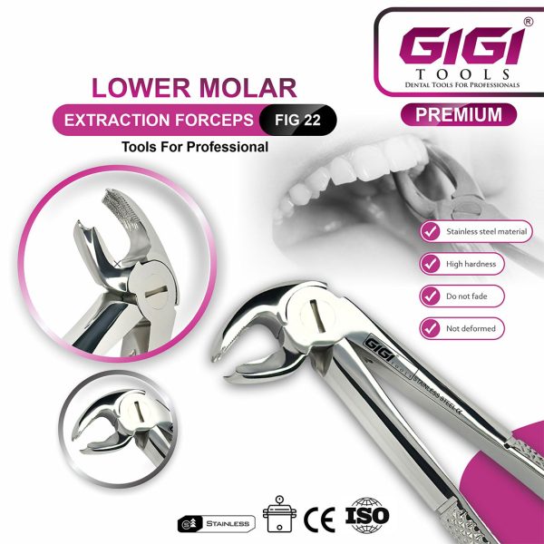 Adult Extraction Forceps Fig. 22 Lower Molars