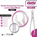 Dental Extracting Forceps Fig. 67 (Bayonet Pattern) for Upper Third Molars