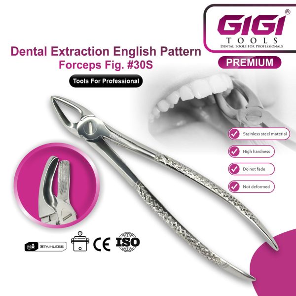 Dental Extraction Forceps English Pattern - Complete 10-Piece Set