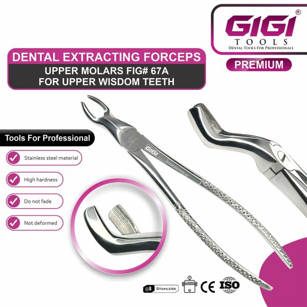 Adult Extraction Forceps Fig. 67A Upper Wisdom Teeth / Third Molars